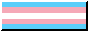 trans pride flag button